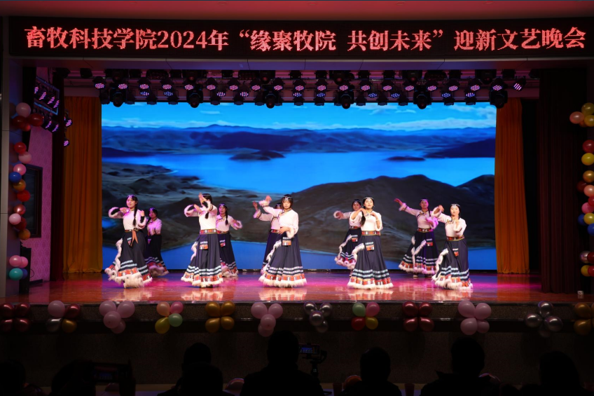 6db052a26cee497aa1d4da567255d5f2.png 6db052a26cee497aa1d4da567255d5f2.png