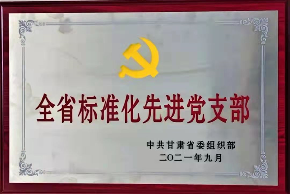 全省标准化先进党支部