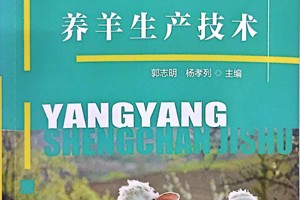 养羊生产技术