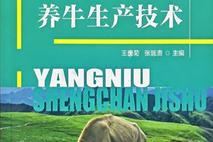养牛生产技术