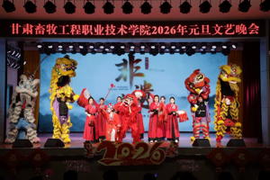 龙狮协会概况