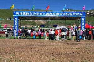 天祝：草原高手同台竞技机械剪毛“剪”出致富新路