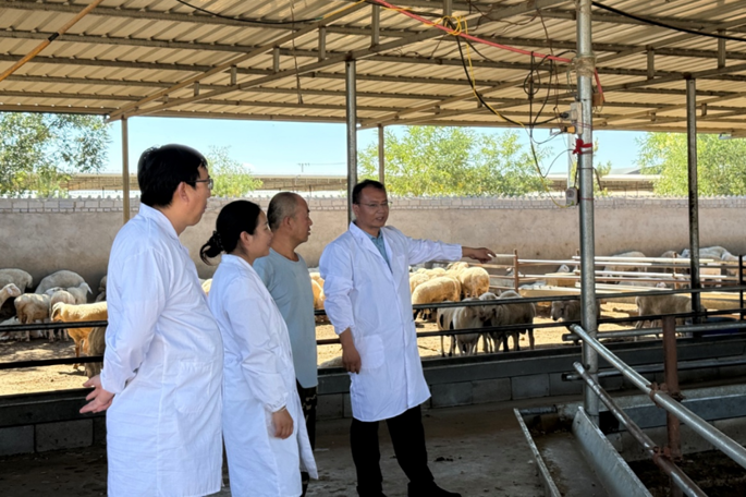 对接羊产业链 服务养殖一线——畜牧科技学院赴古浪县开展技术指导与调研
